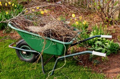 Leaf Removal Equipment