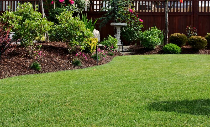 Clean Yard with Mulched Borders