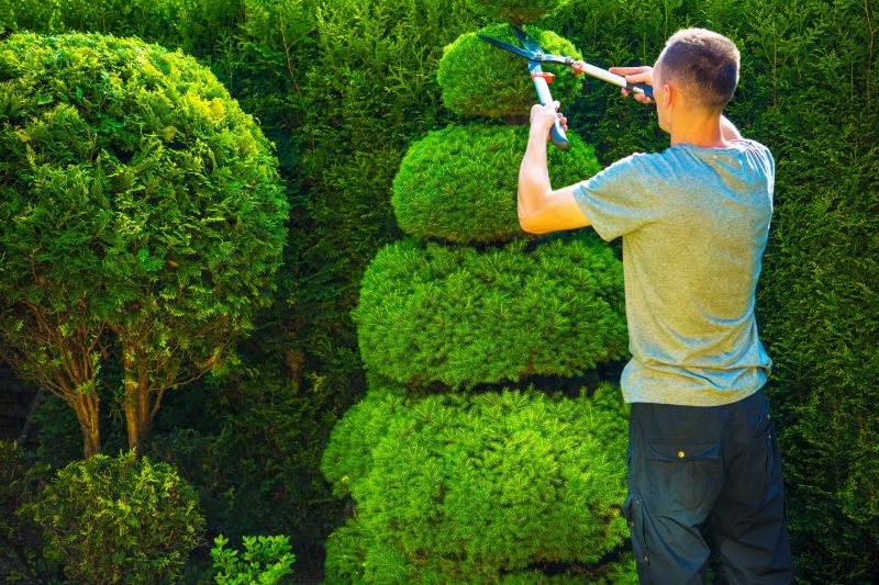 Bush and Tree Trimming