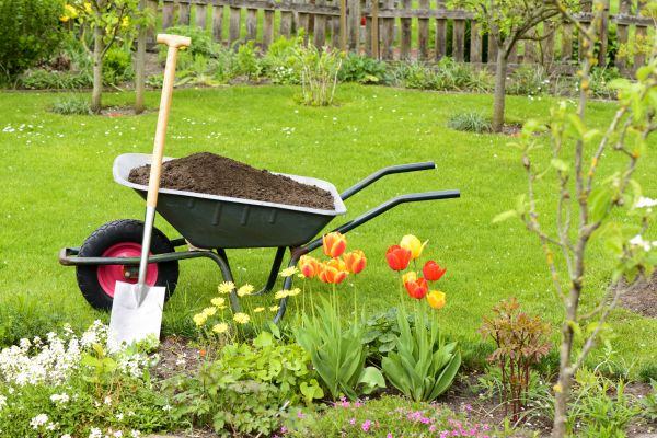 Cost of Spring Yard Cleanup in Elgin