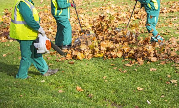 Cost of Leaf Maintenance in Elgin