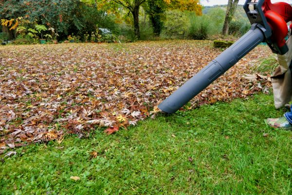 Cost of Leaves Vacuuming in Elgin
