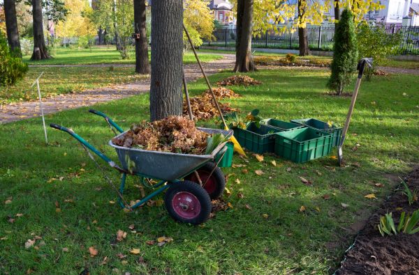 Cost of Leaf Clearing Service in Elgin