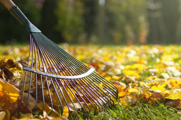 Cost of Seasonal Lawn Maintenance in Elgin