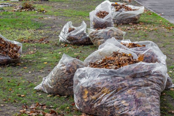 Cost of Leaf Pile Disposal in Elgin
