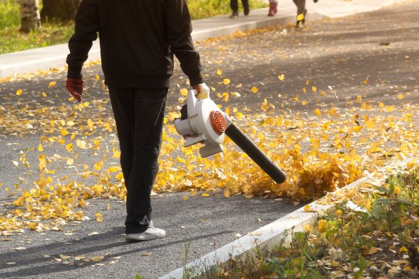 Commercial Leaf Removal in Elgin